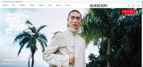 burberry shipping to israel|Burberry shipping schedule.